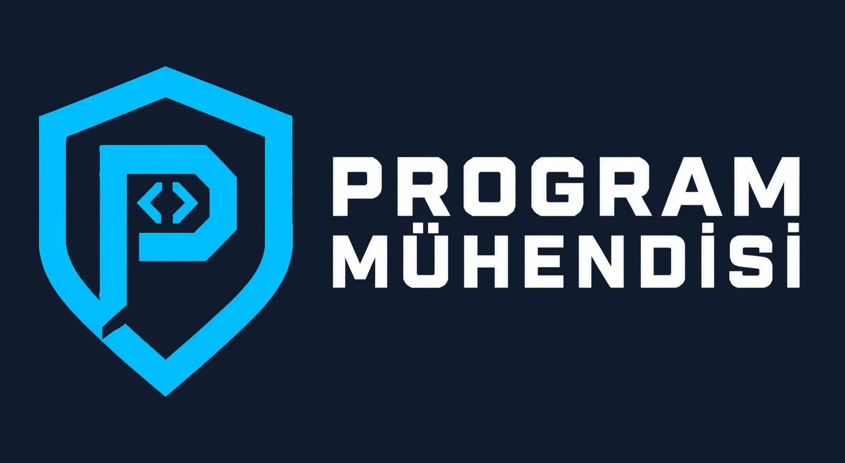 Program Mühendisi